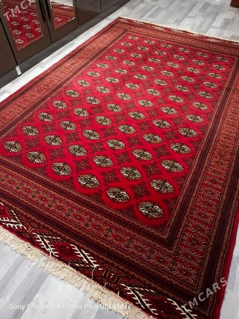 haly - Дашогуз - img 1