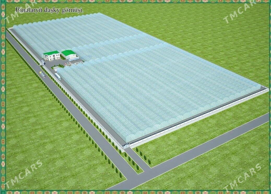 Satlyk parnik teplissa - Байрамали - img 1