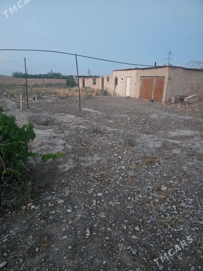 Kaka - Кака - img 1