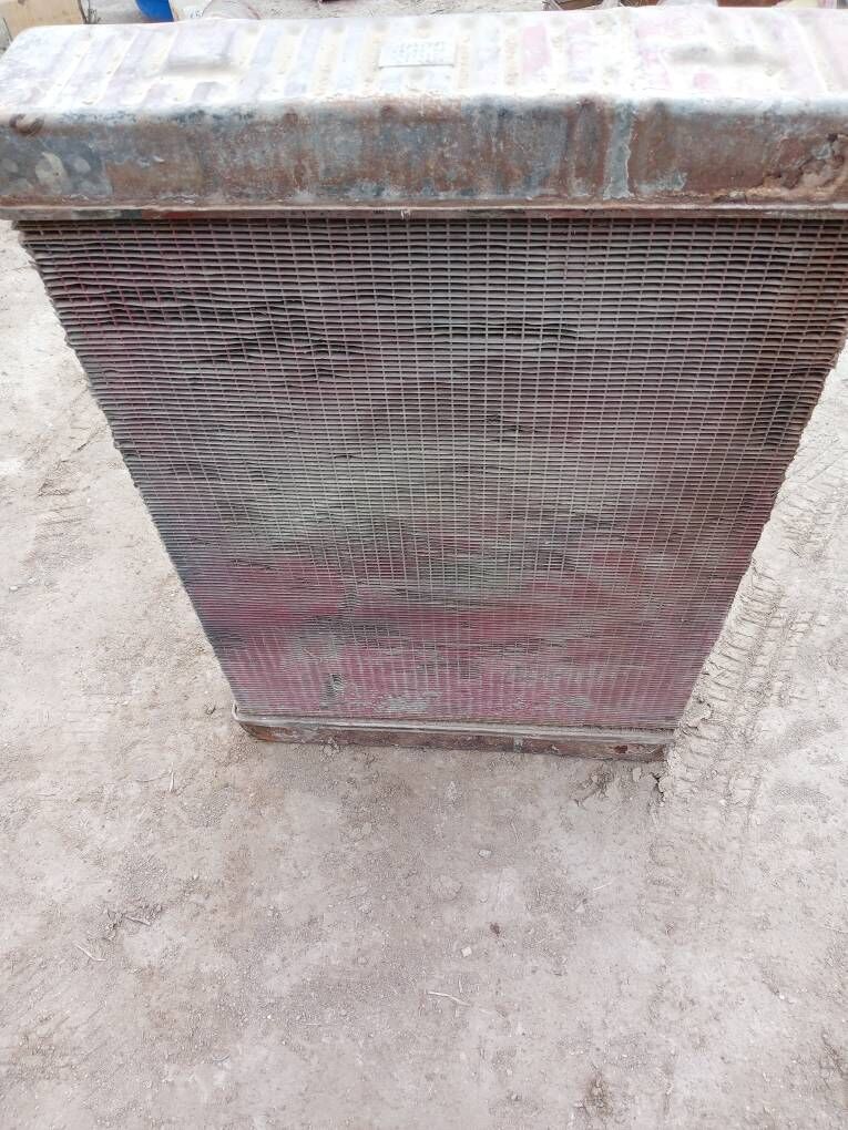 Radiyator 1 000 TMT - Эсенгулы - img 1