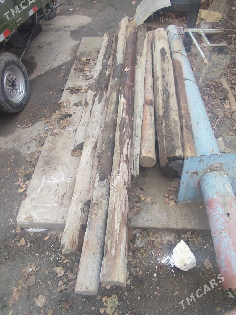 agaç, tagta tomalak agaç - Türkmenabat - img 1