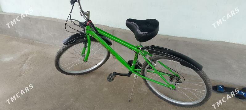 Tigir - Änew - img 1