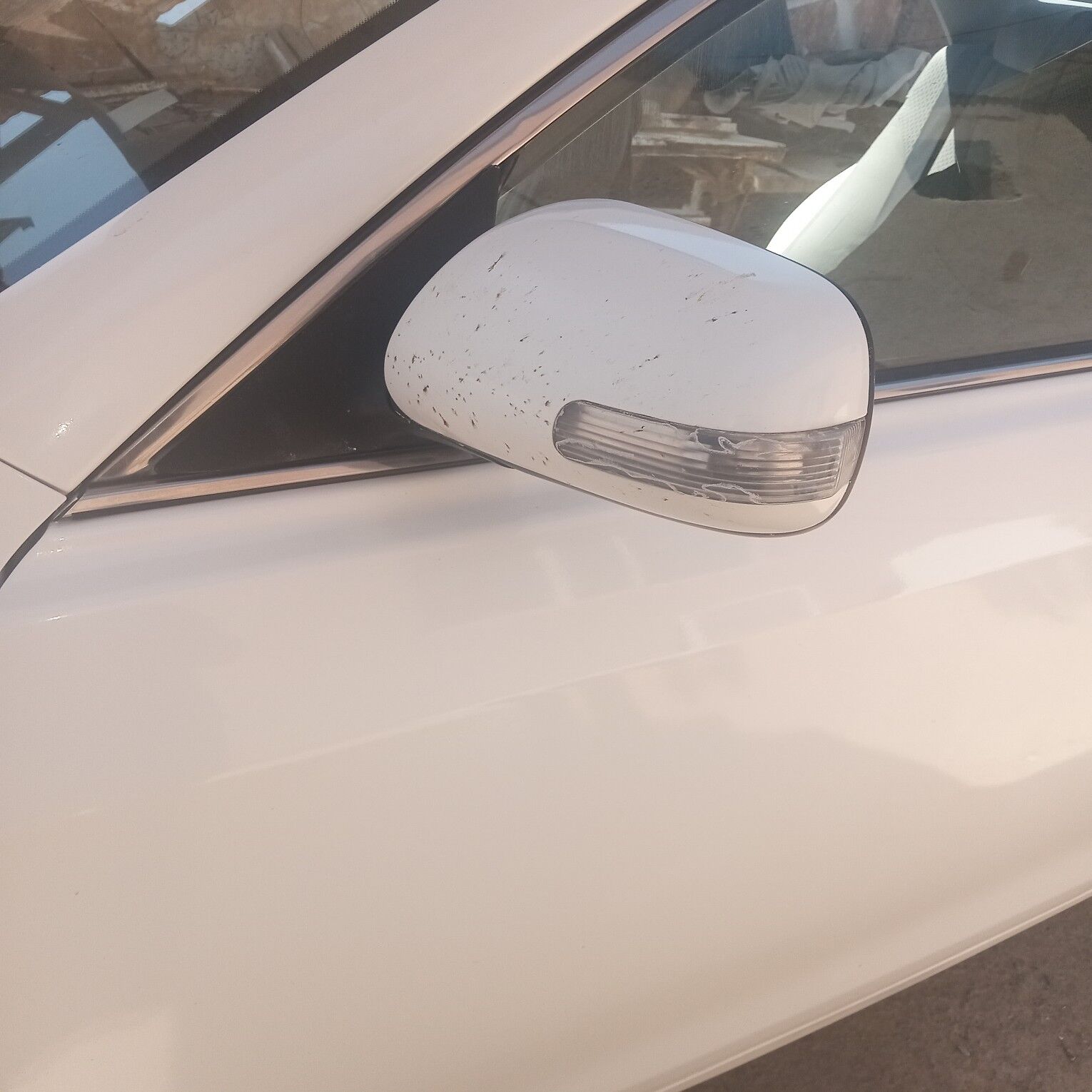 ökuz kele bakawoy çep 350 TMT - Серахс - img 1