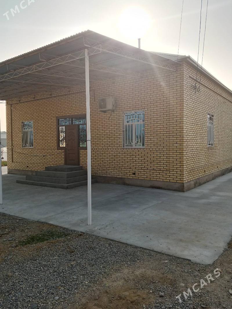 Satlyk howly - Mary - img 1