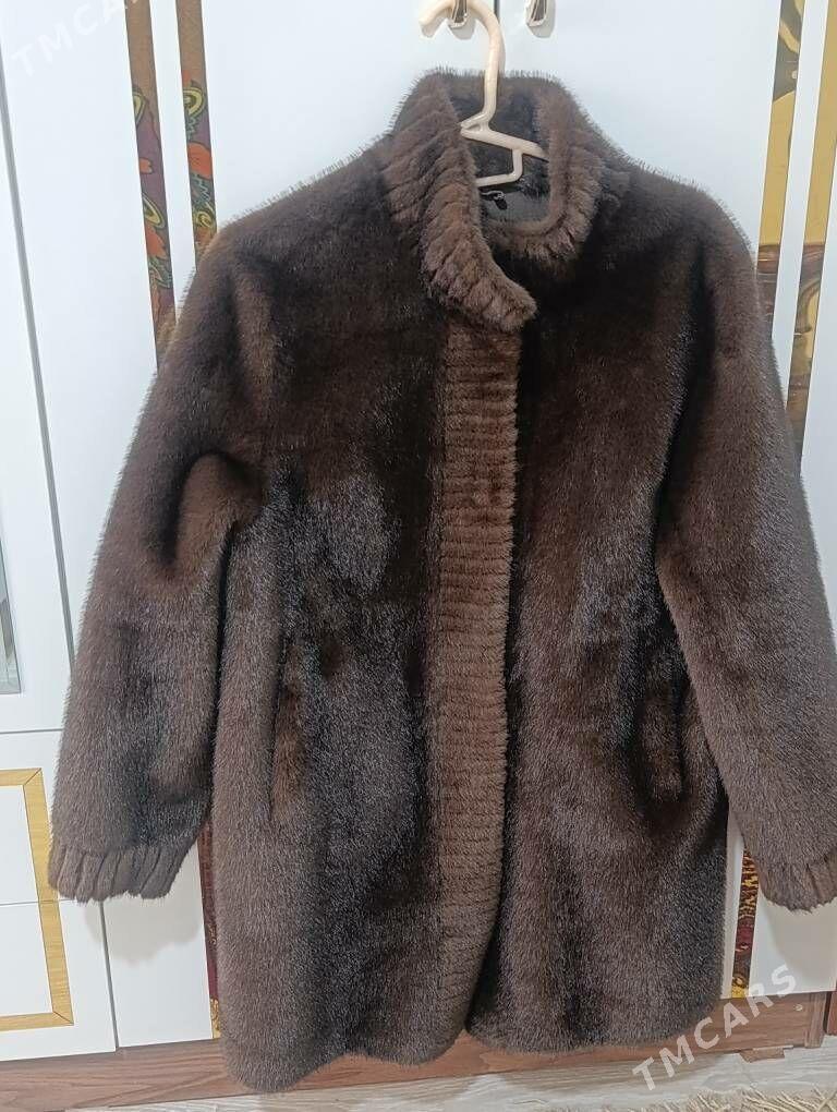 Şuba,Ädik - Daşoguz - img 1