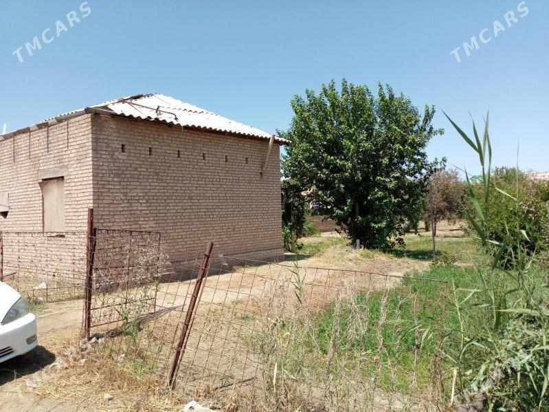 Daca Karamyansk - Türkmenabat - img 1