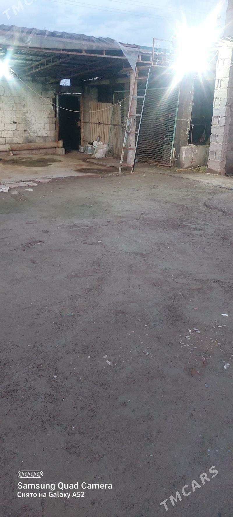 Bagyr mellek yer eyesinden - Bagyr - img 1