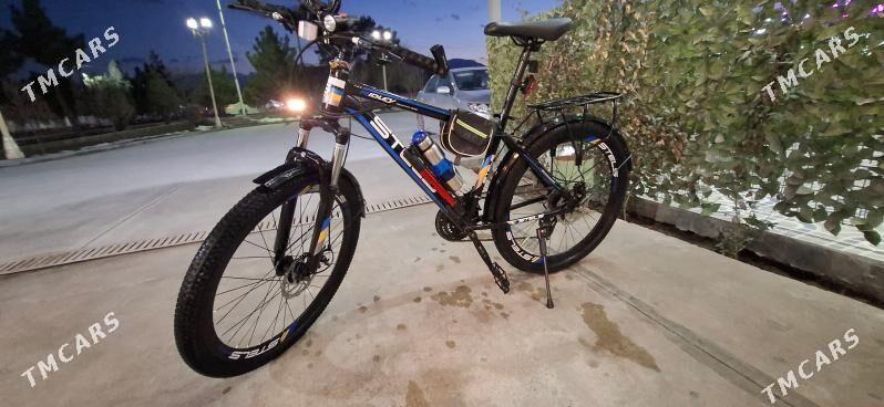 Tigir - Büzmeýin - img 1