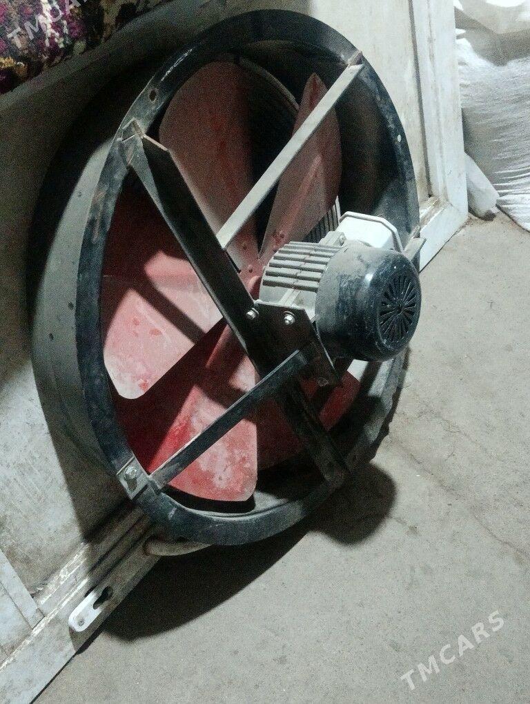 witicka winteryatr - Bagyr - img 1