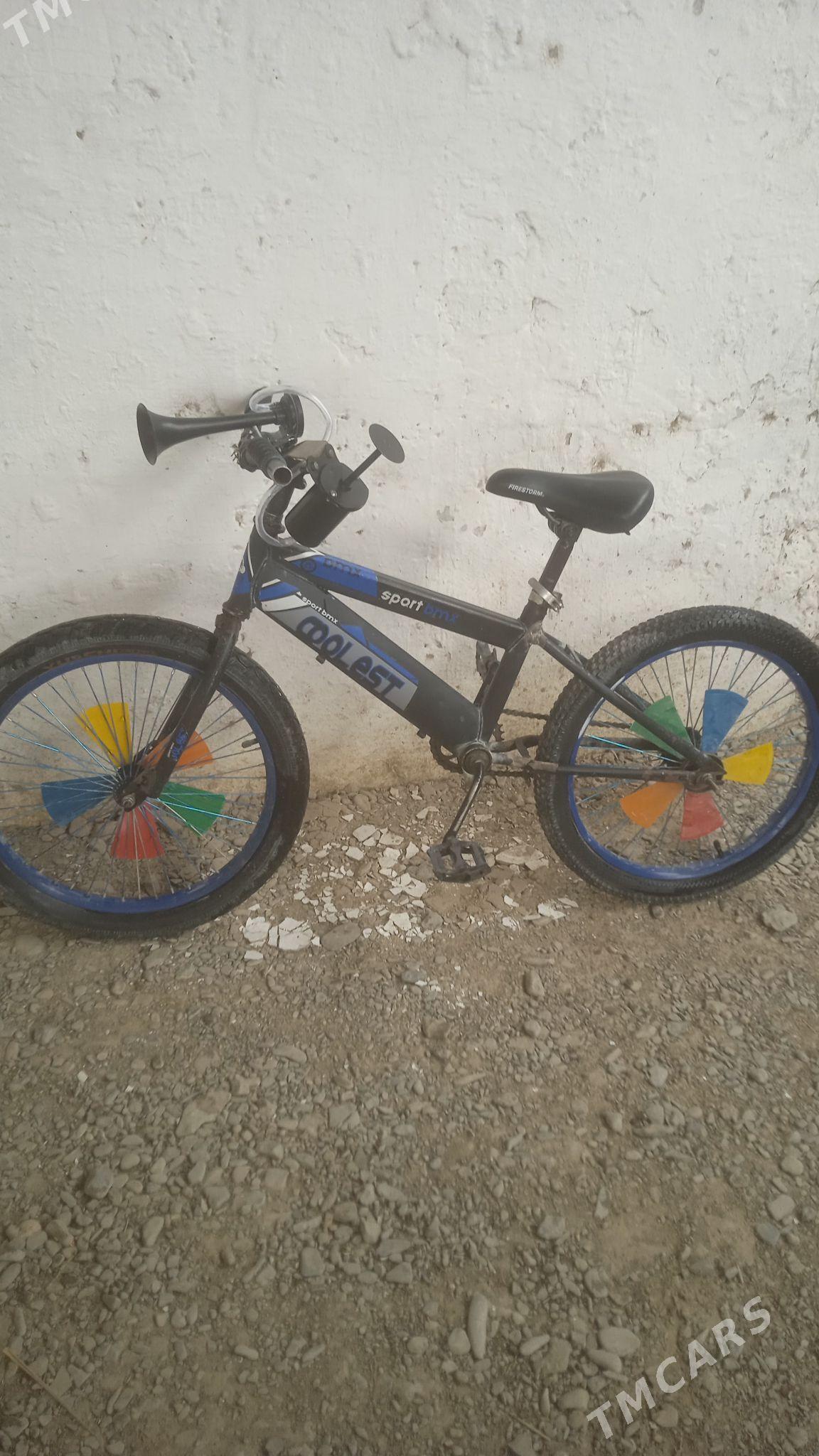 tigir - Bäherden - img 1