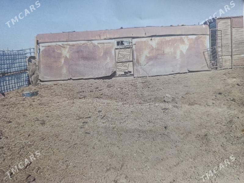 vagon - Daşoguz - img 1