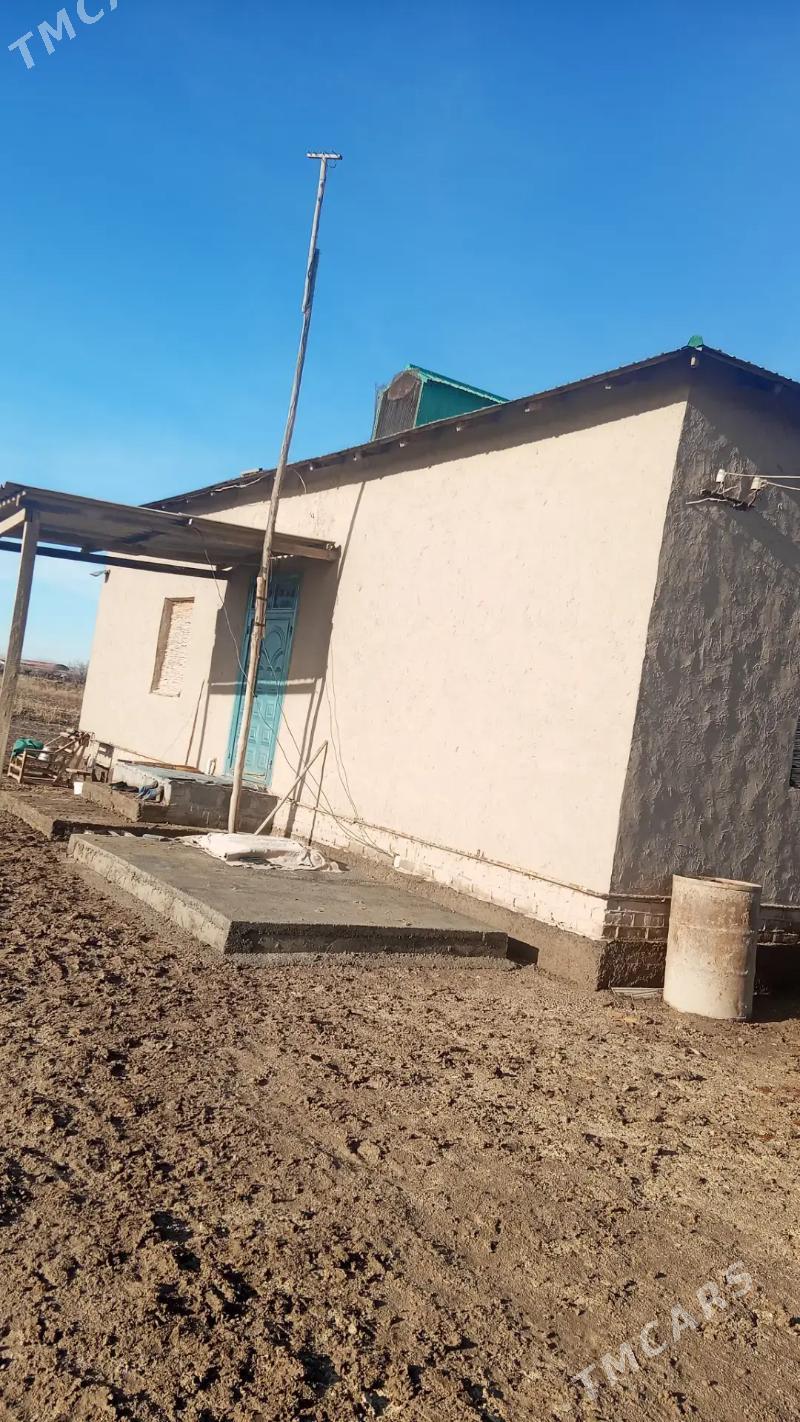 SATLYK JAÝ - етр. Туркменбаши - img 1