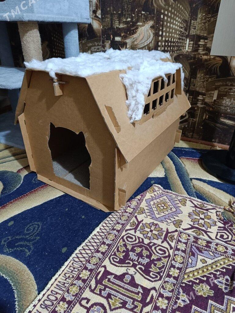 домик для кота - Türkmenbaşy - img 1
