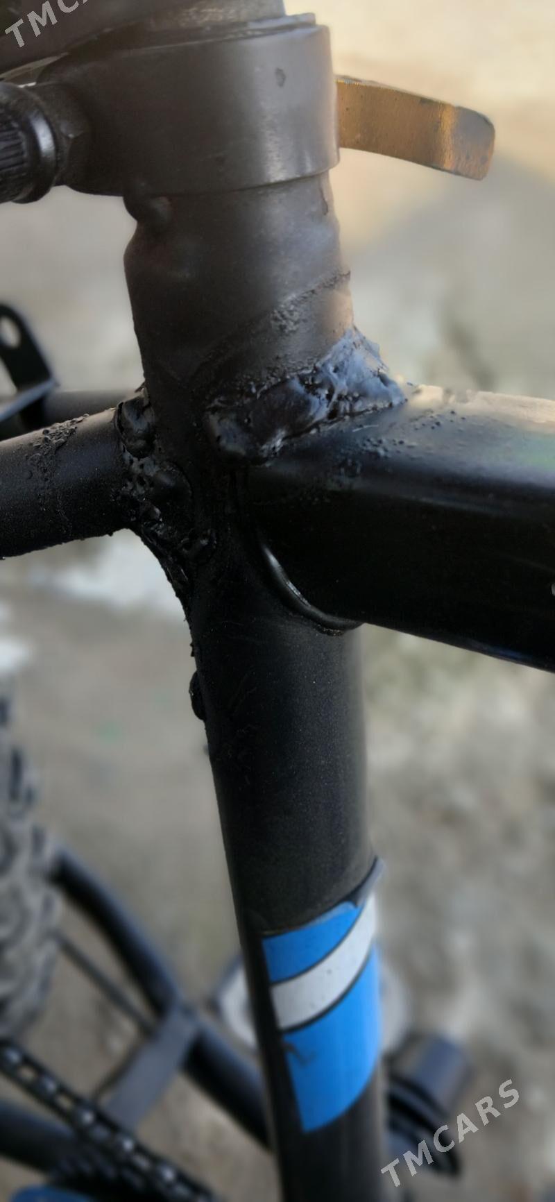 Tigir - Gökje - img 1