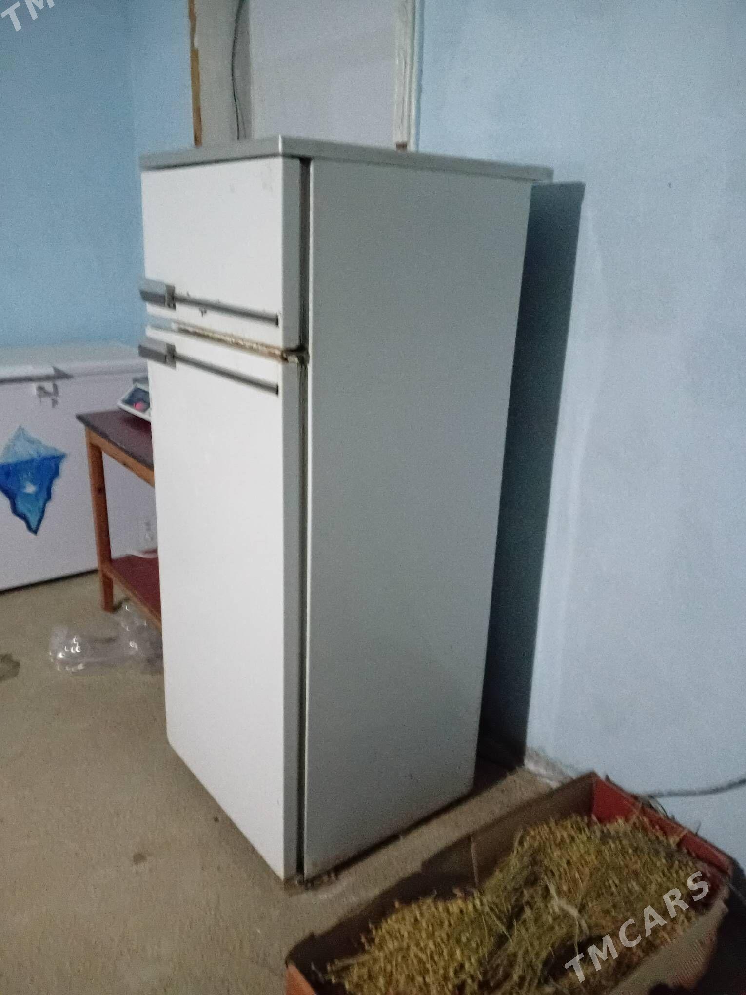 halodilnikler - Mary - img 1