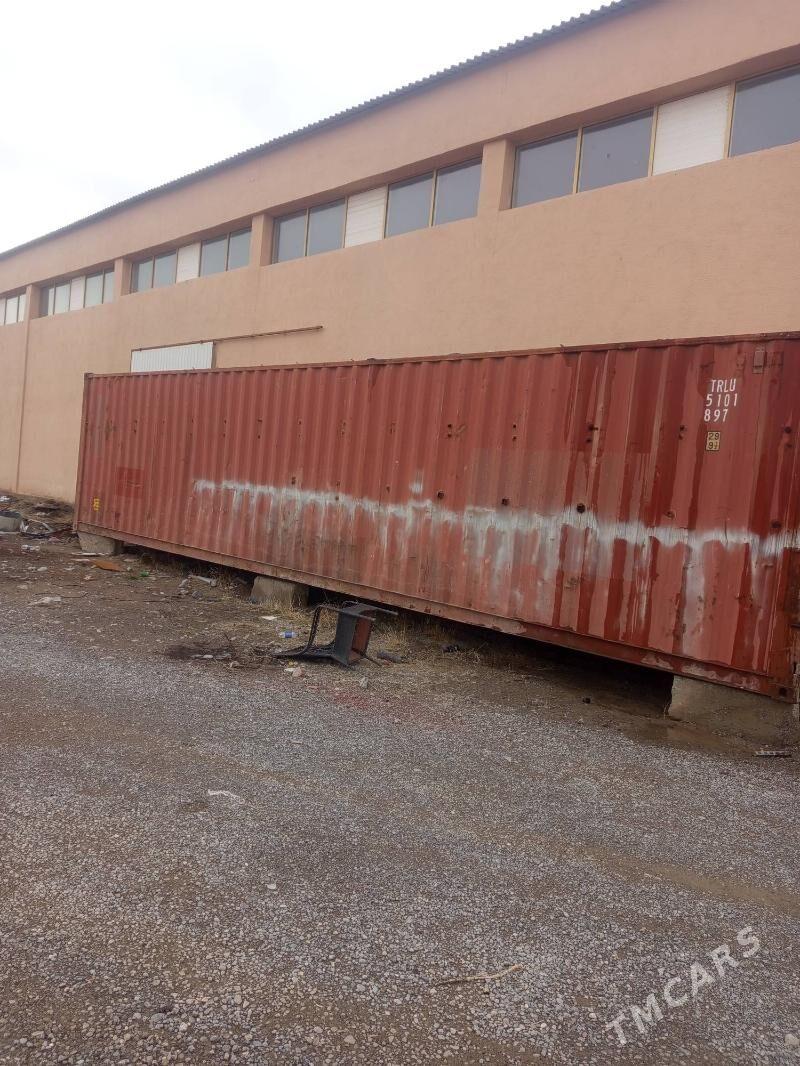 kanteynyr - Багир - img 1