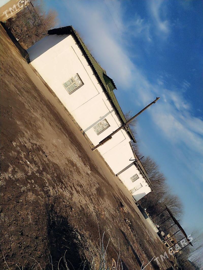 jay - Köneürgenç - img 1