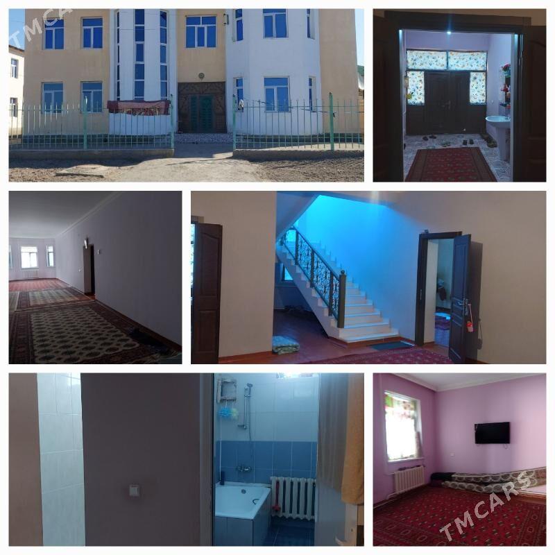 kotej - Daşoguz - img 1