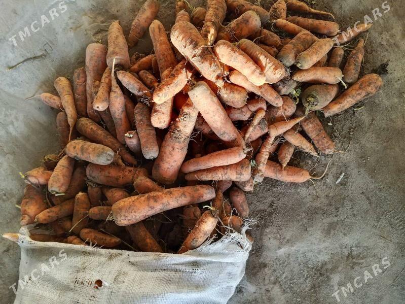 käşir - Саят - img 1