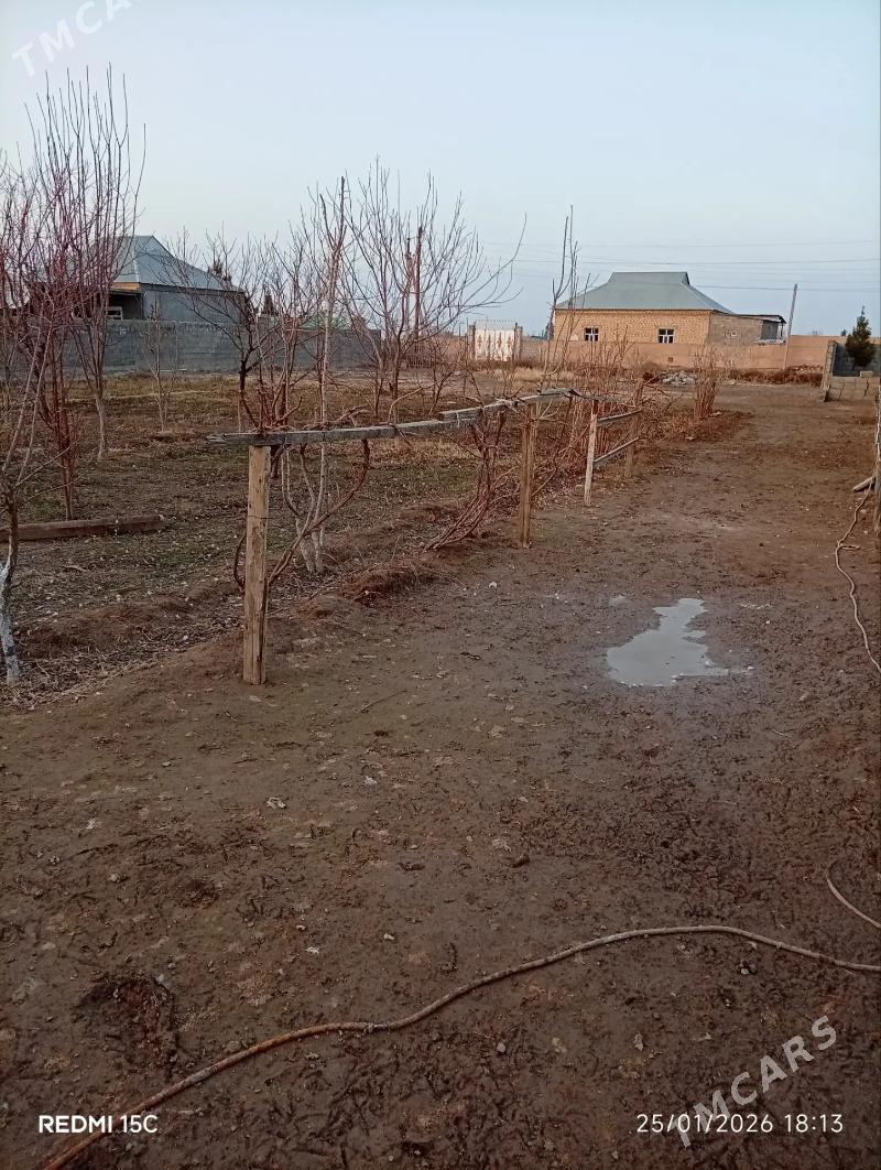 ucastka - Кака - img 1