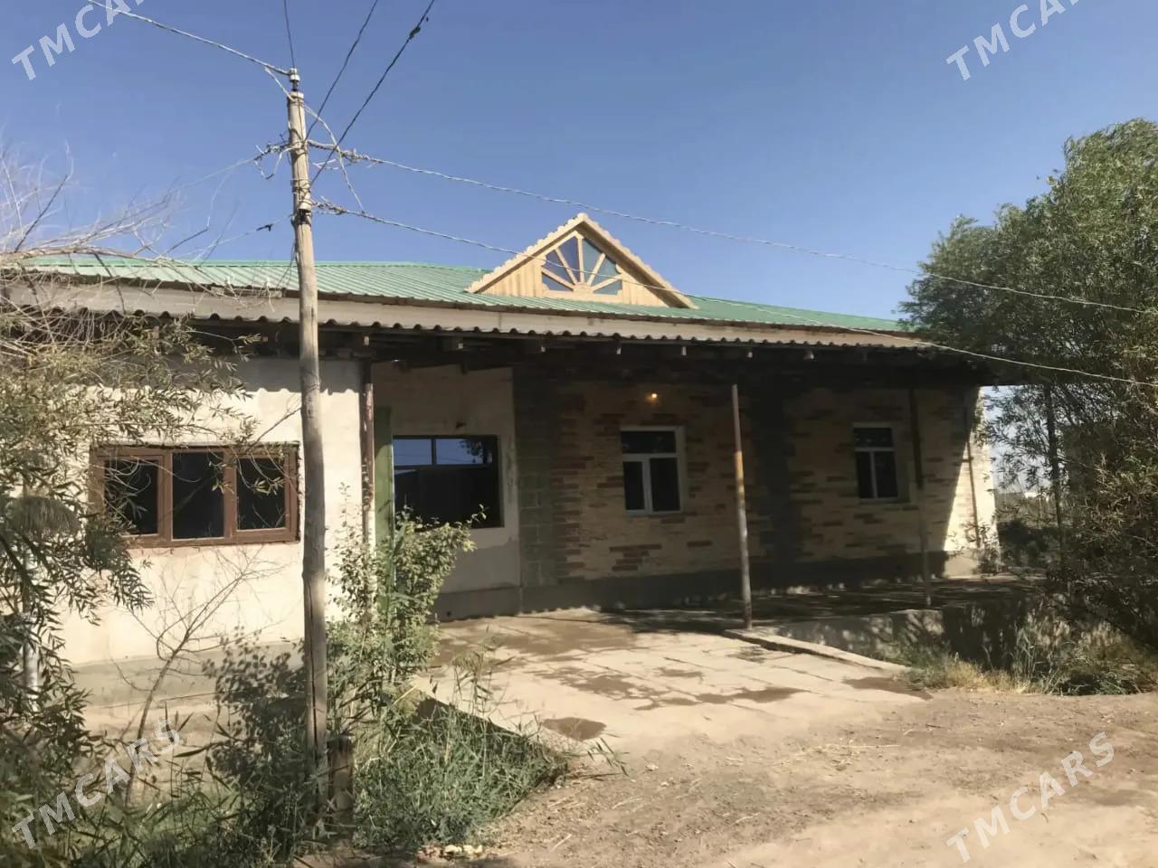 Satlyk jay - Daşoguz - img 1