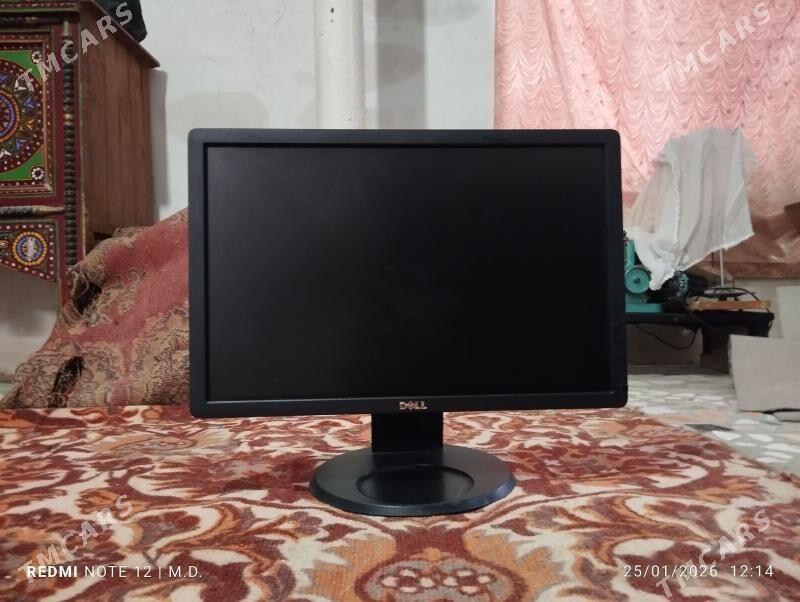 manitor - Mary - img 1