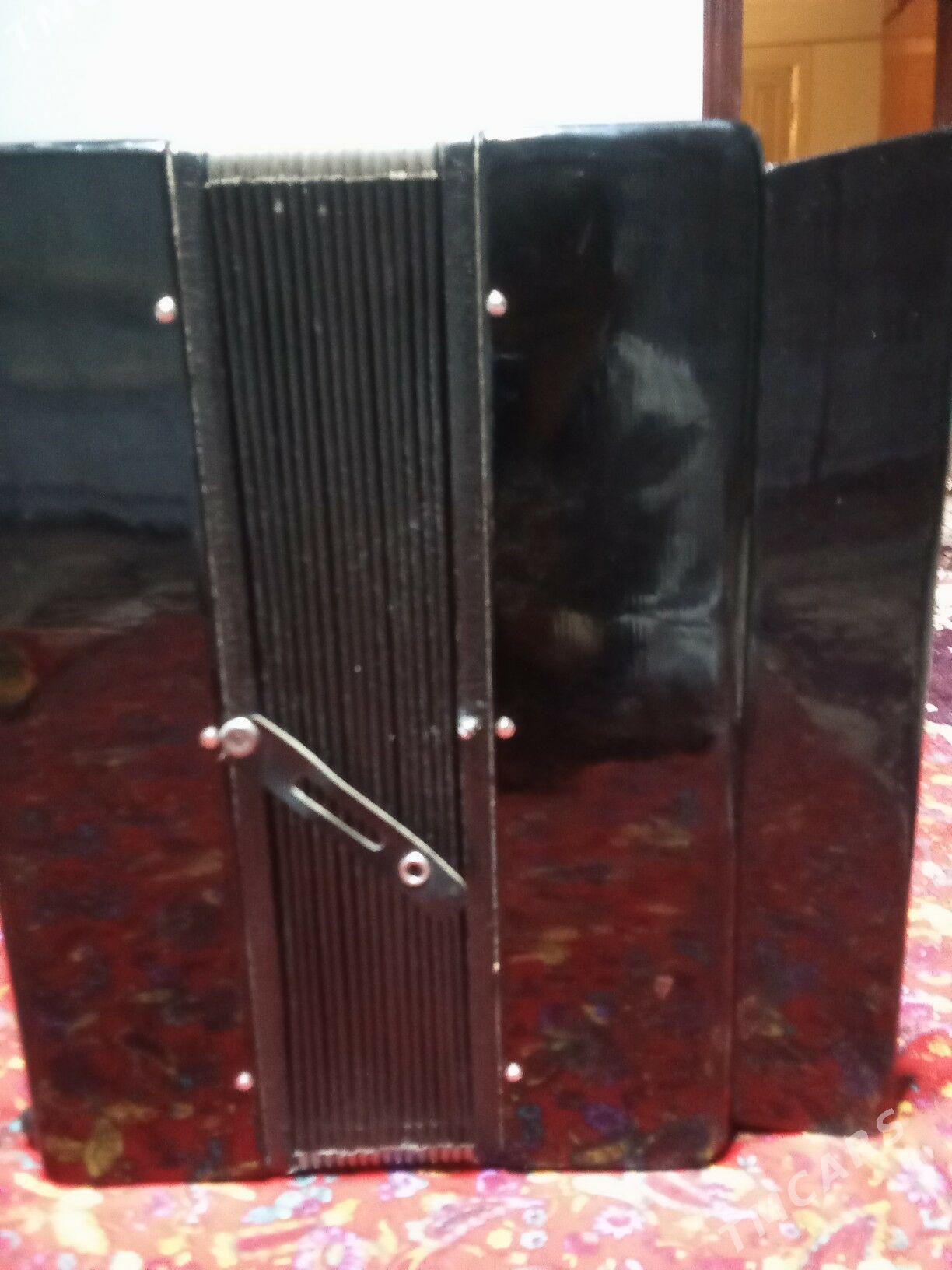 Bayan - Kerki - img 1