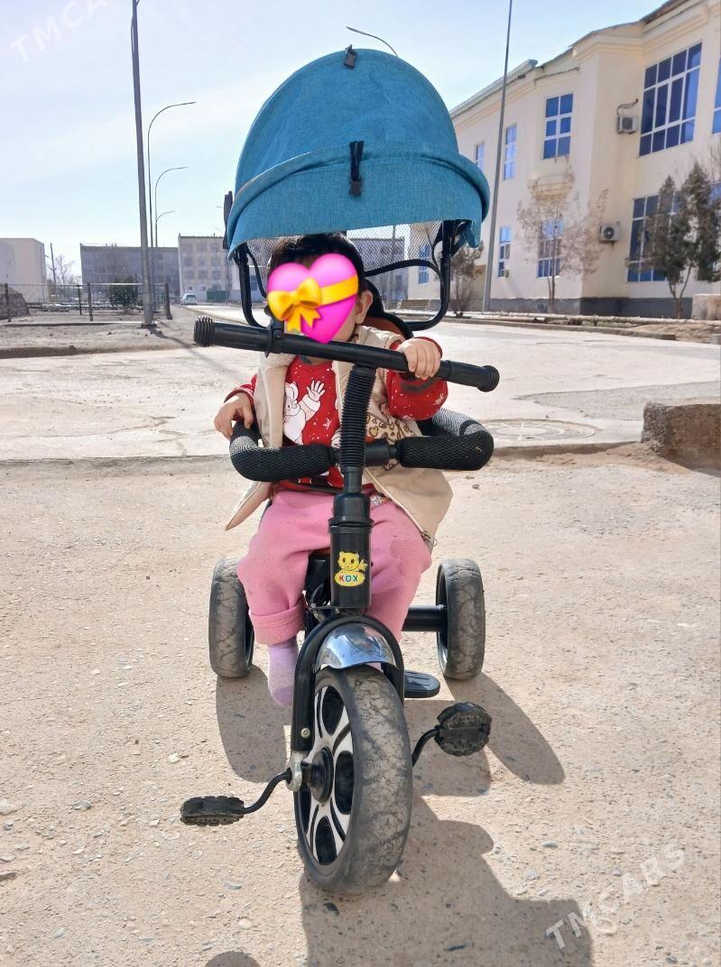 çaga tigiri - Tejen - img 1