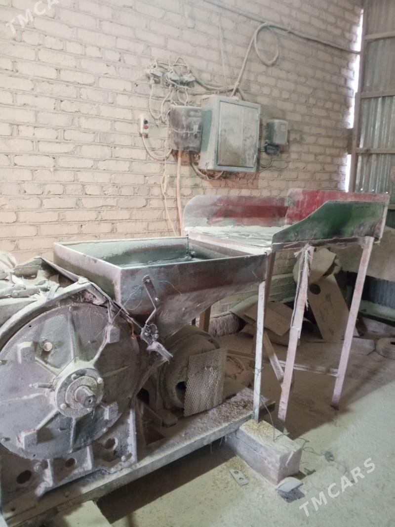 DKU Haraz - Мургап - img 1