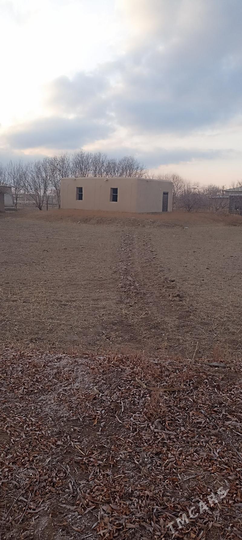 Satlyk jay - Gubadag - img 1