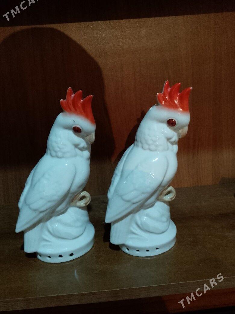 satlyk tawuk - Balkanabat - img 1