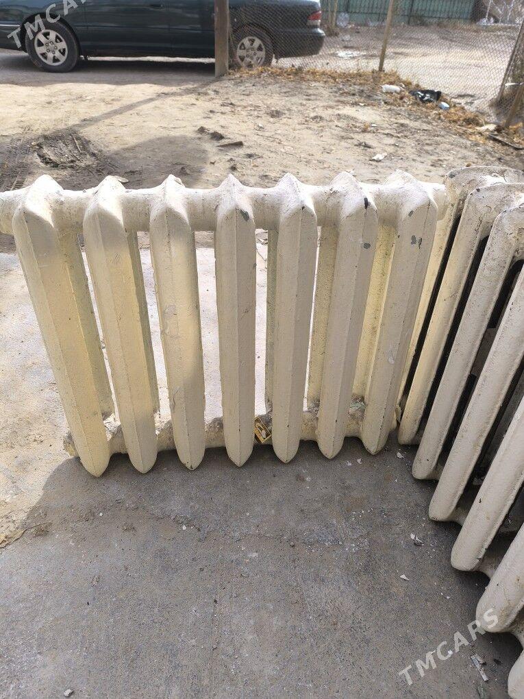 satlyk coyun ataplenya - Mary - img 1