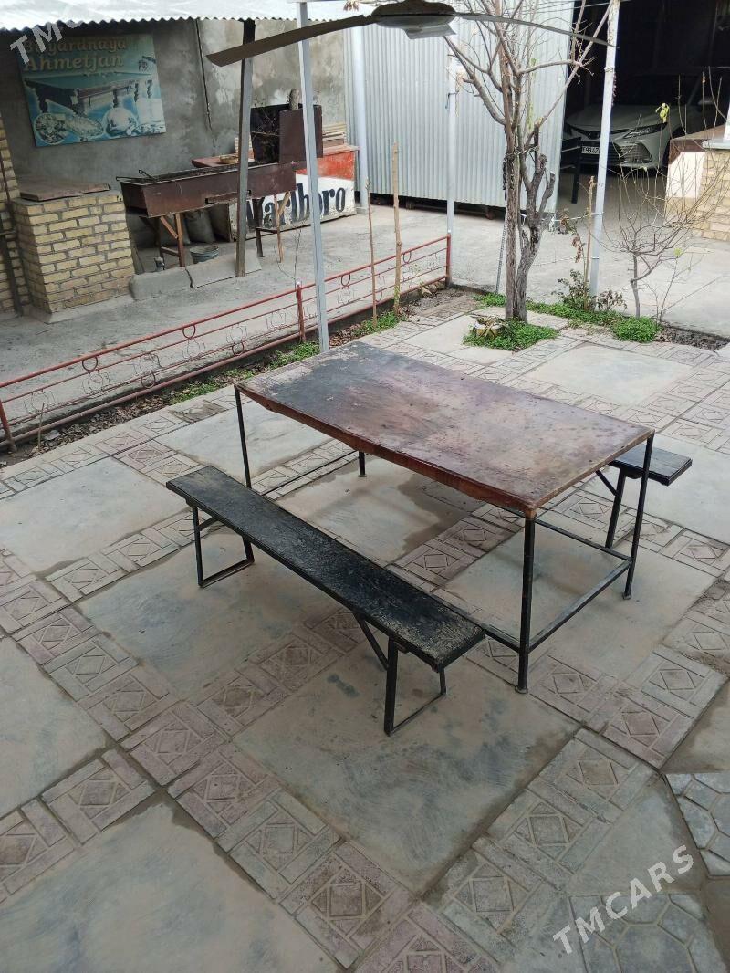 Arenda howly - Mary - img 1