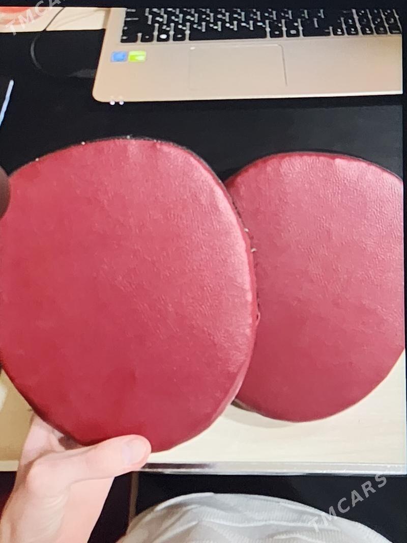 Лапы для тренировки ударов - Mary - img 1