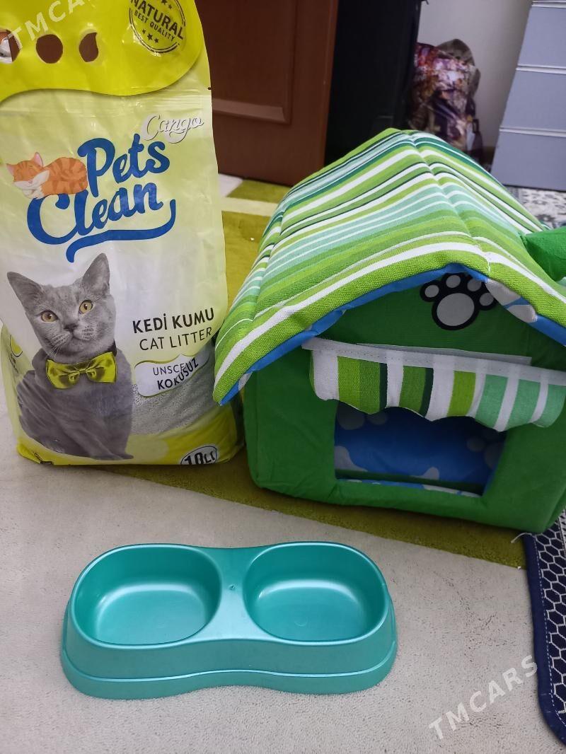 Pishikler - Ашхабад - img 1