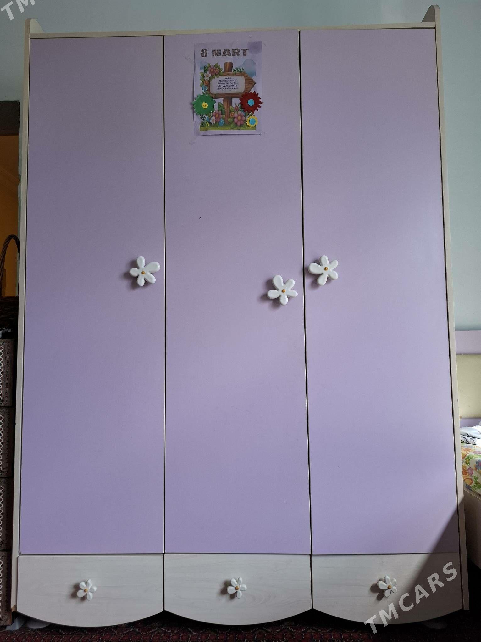 Çaga şfaner - Gökdepe - img 1