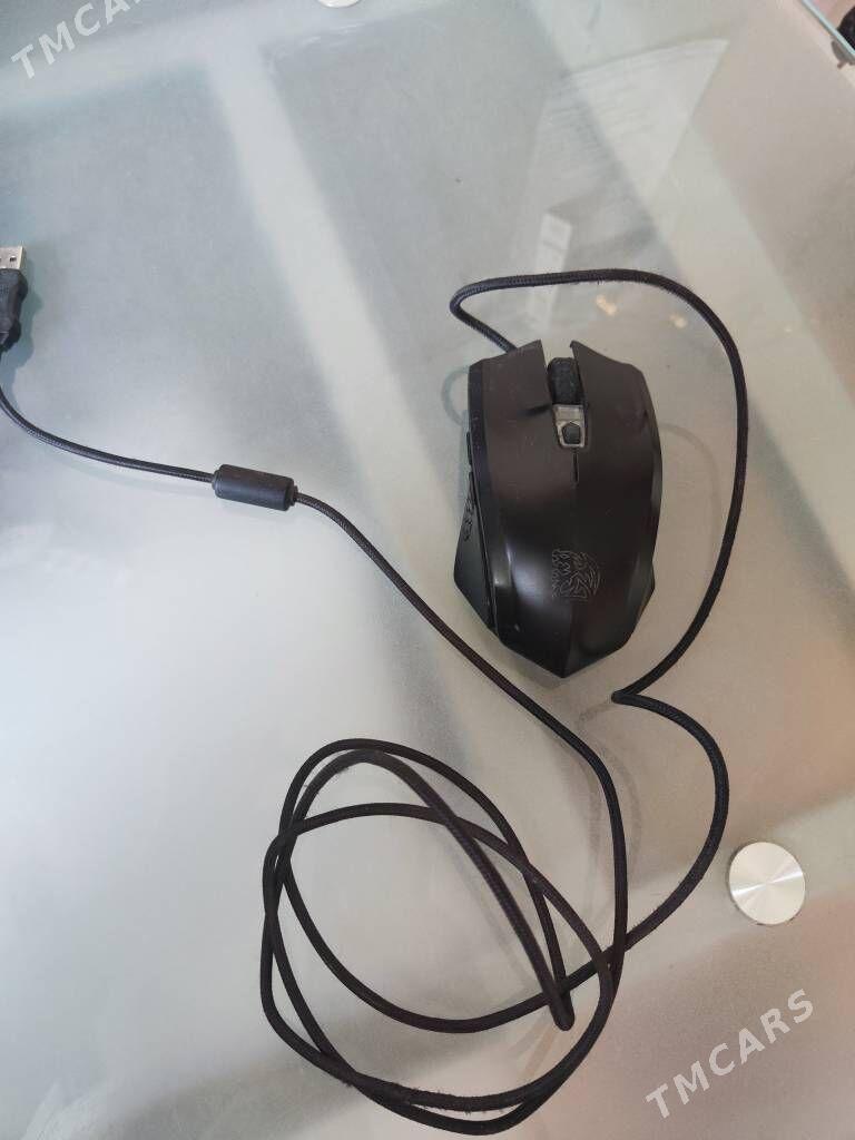 мышка - Ашхабад - img 1