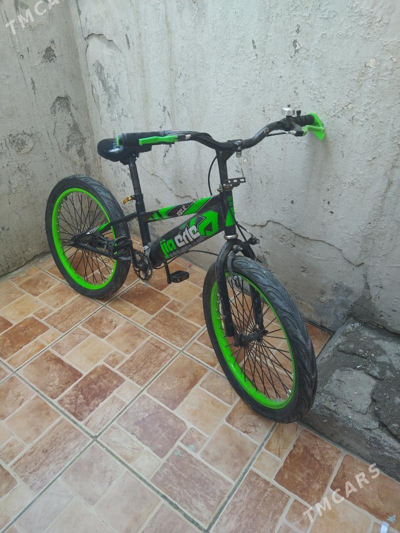 tigir - Мир 6 - img 1