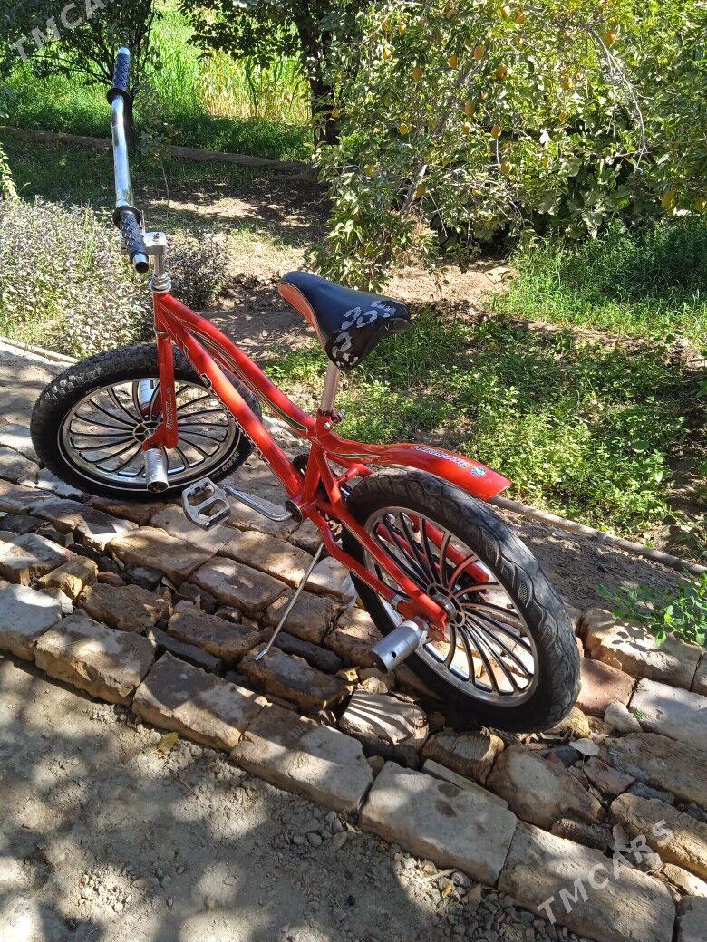 rambo - Daşoguz - img 1