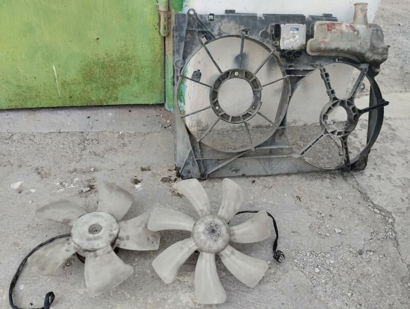 sienna lopus waryatyr 200 TMT - Ашхабад - img 1