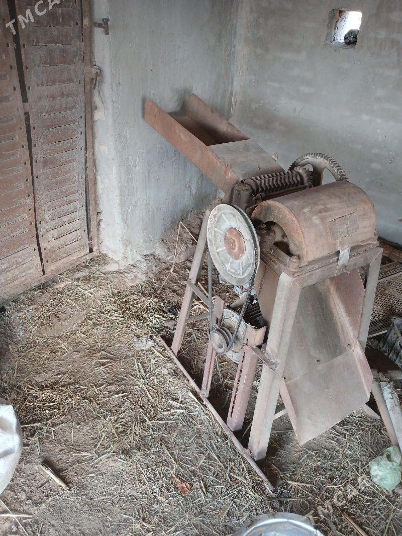 ot uweyan - Мургап - img 1