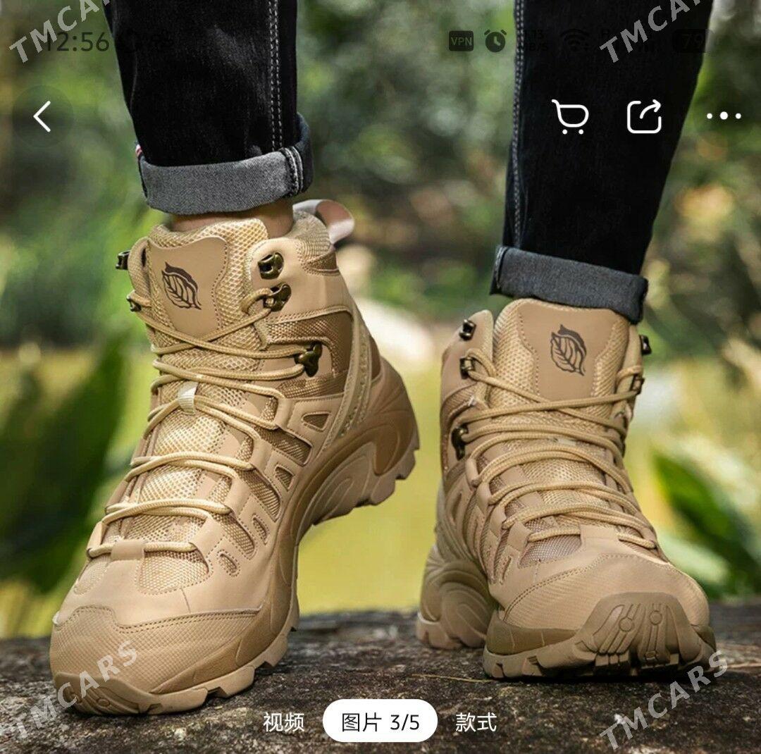 Pol sapok - Garabogaz - img 1