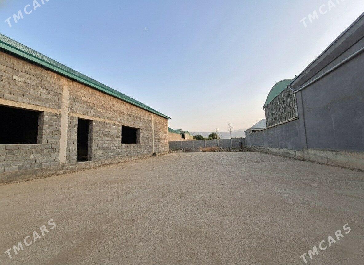 Jaý plon - Бахарден - img 1