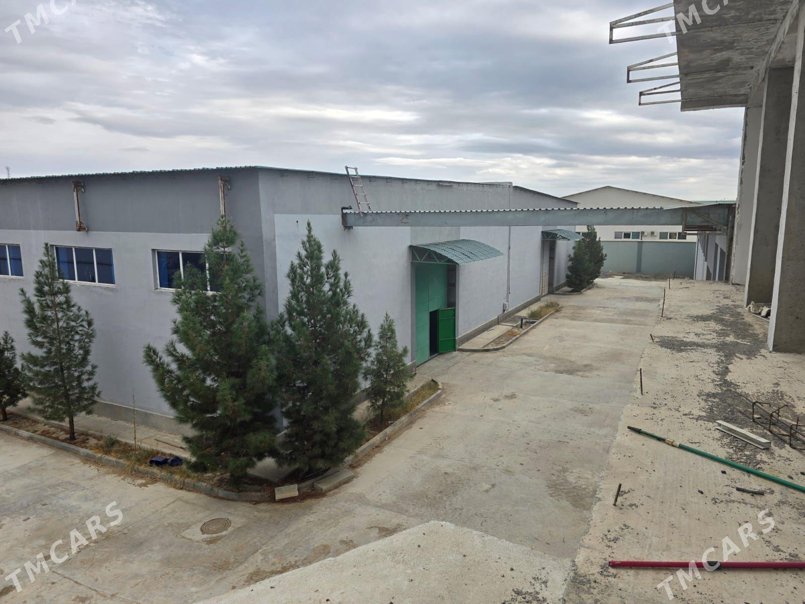 tayar 1 gektar Pomesheniye - Ашхабад - img 1