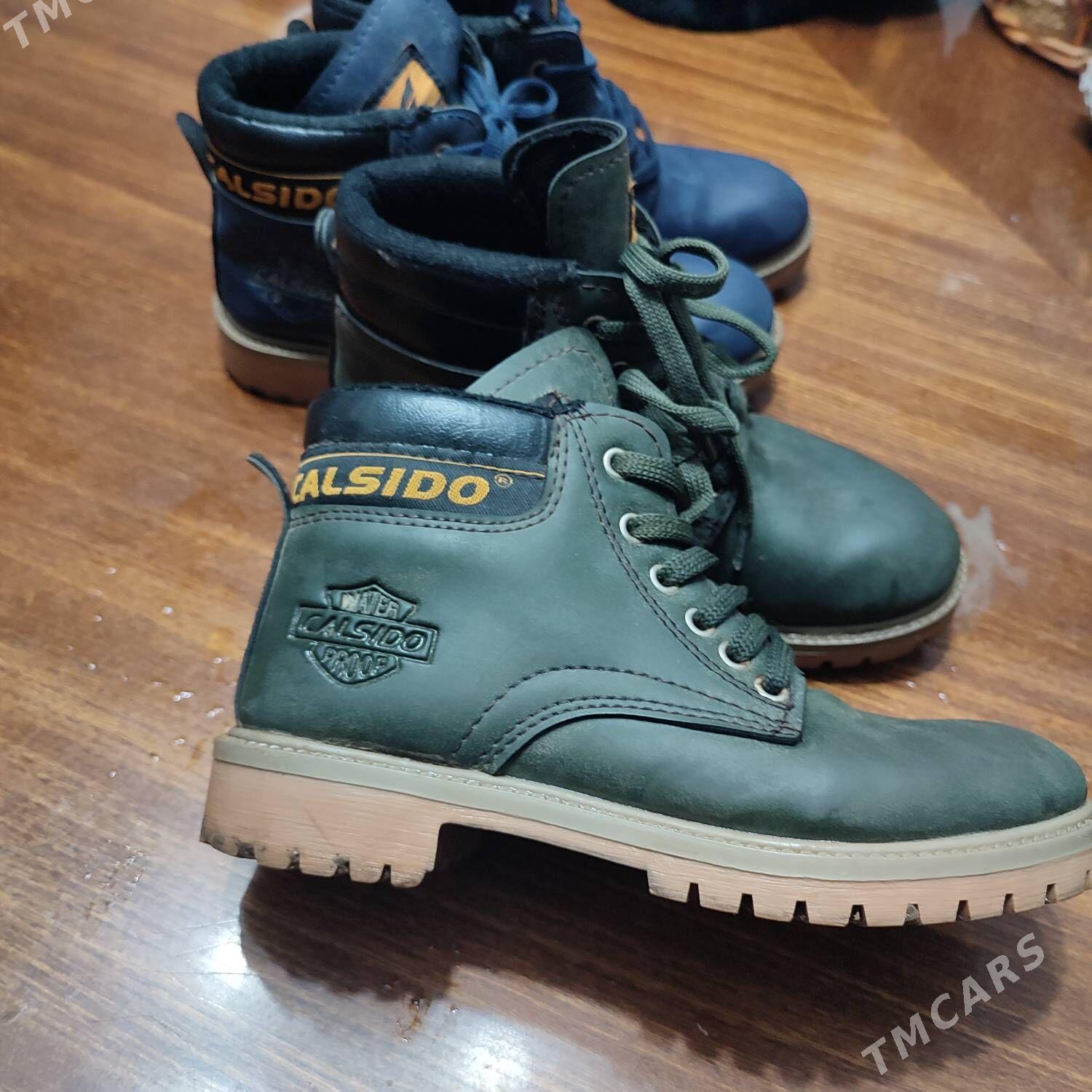 calsido ädikler gök we ýaṣ̌yl - Köneürgenç - img 1