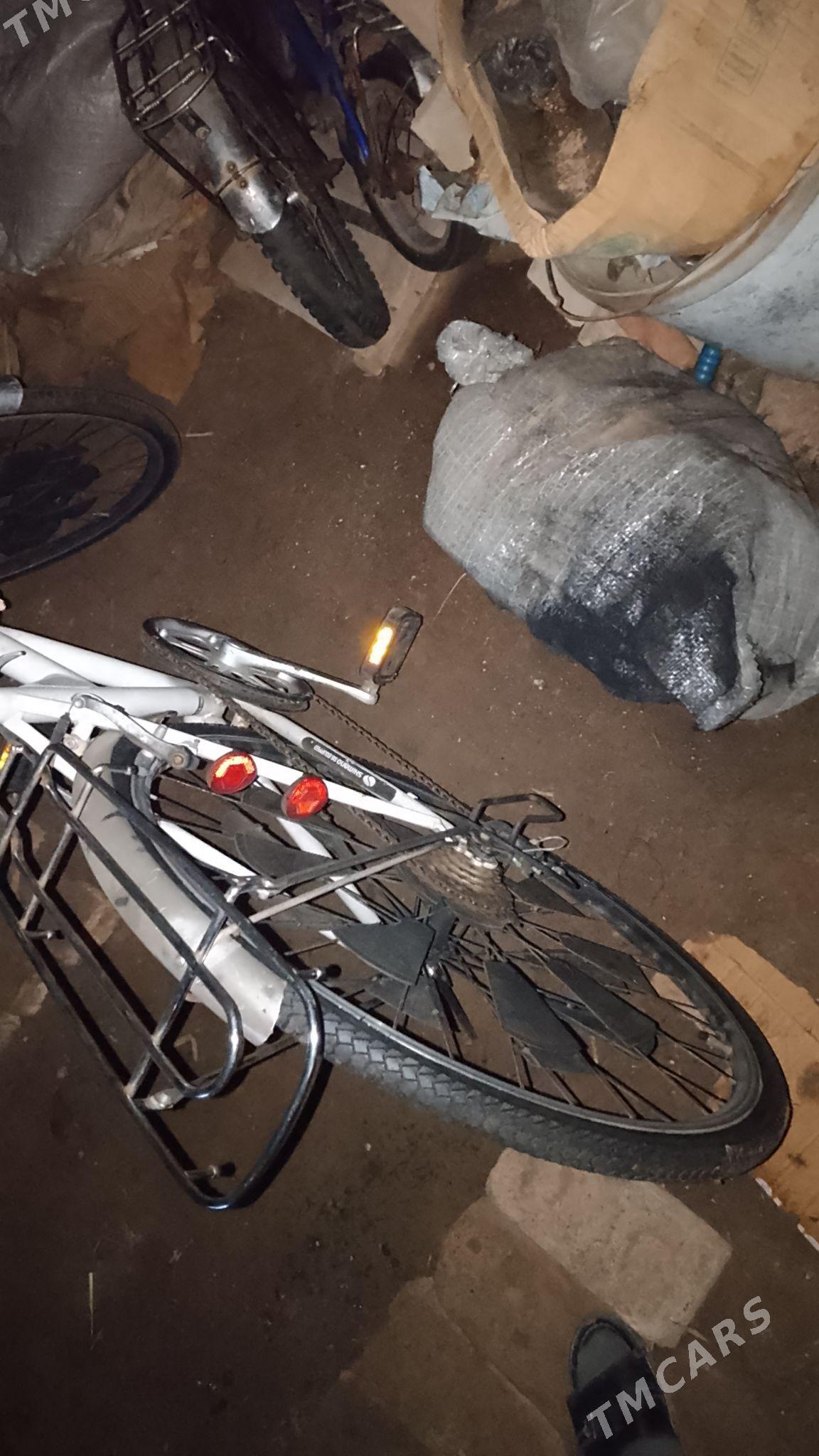 welisopet - Гурбансолтан Едже - img 1