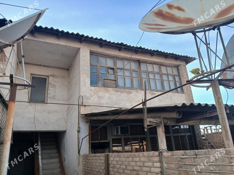 satlyk jay - Sakarçäge - img 1