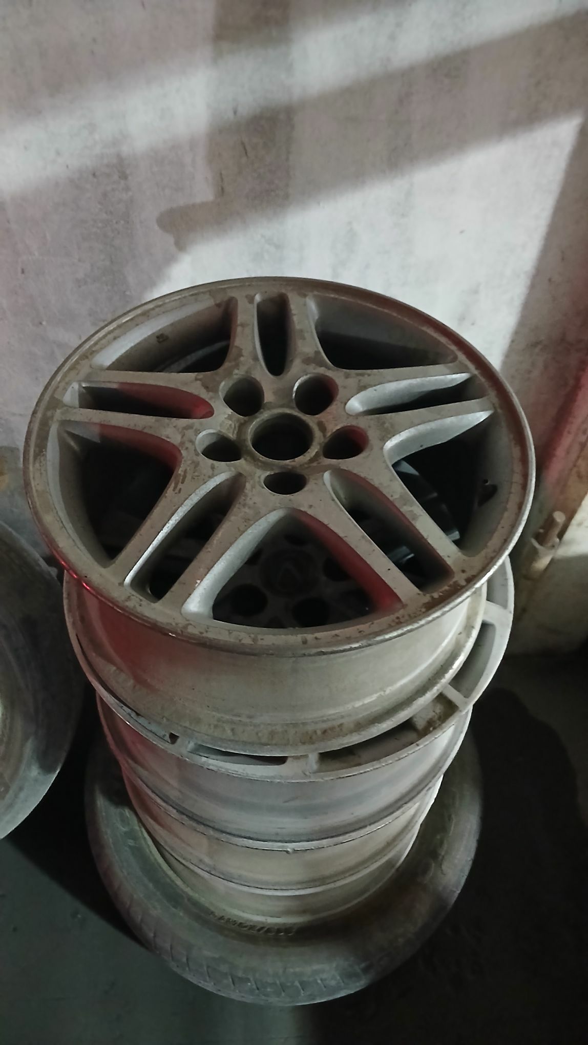 16 babycga disga 1 000 TMT - Mary - img 1