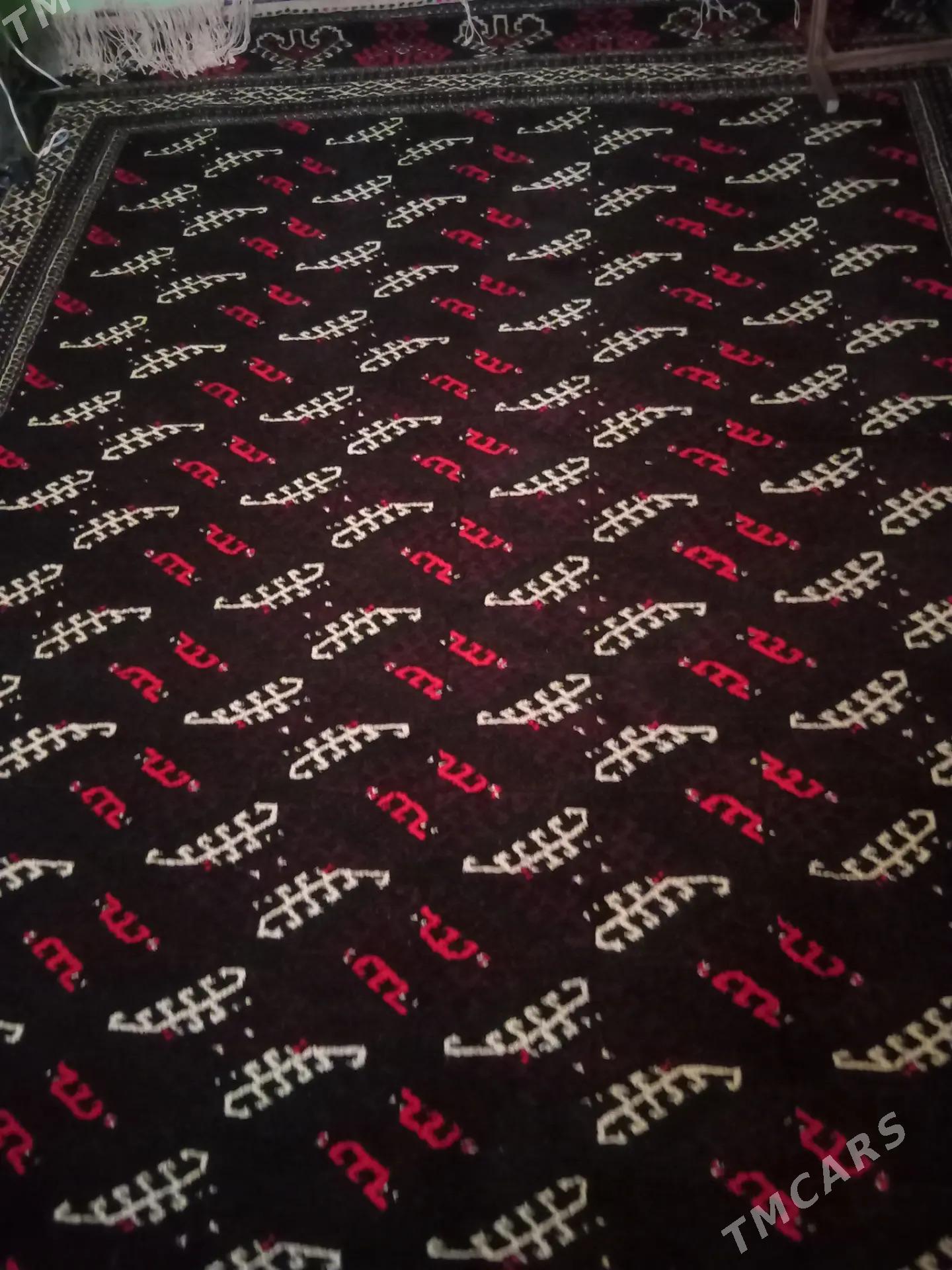 haly - Bereket - img 1