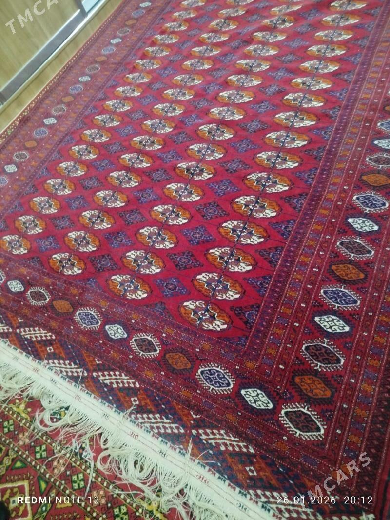 El haly - Ашхабад - img 1